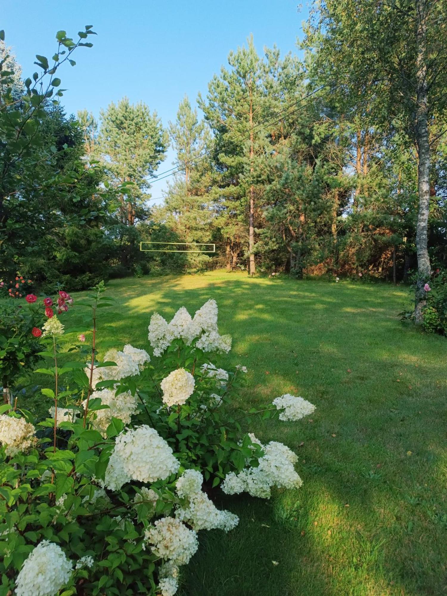 Zielone Kaszuby - Z Jacuzzi Apartment Strzepcz
